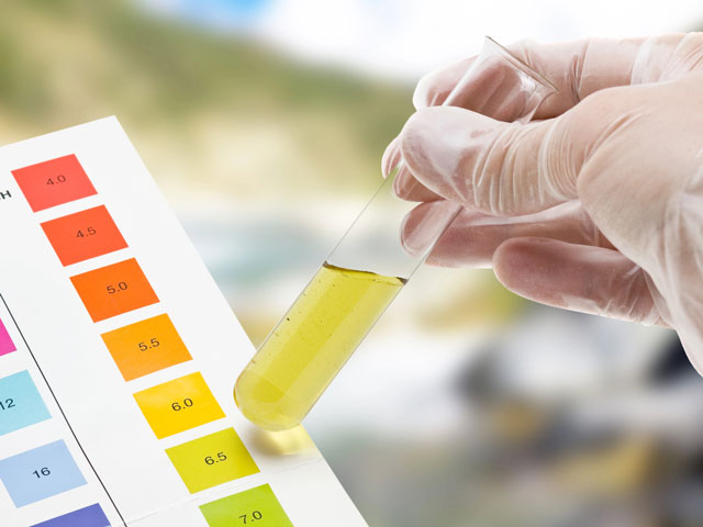 What is the pH of Soap?