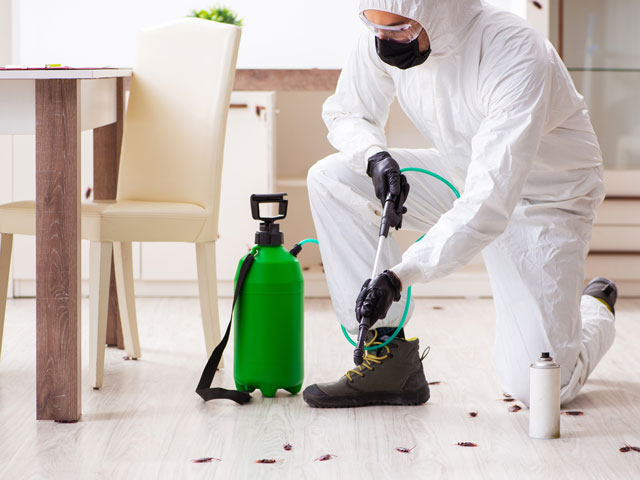 An exterminator, dressed in an all-white protective suit with safety glasses and mask, is spraying a kitchen to keep mice, insects and rodents away.